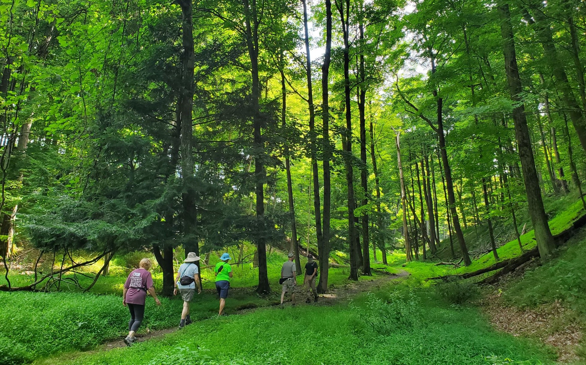 Oglebay Hikers 2 Resized Cropped 20200814_094210[1]